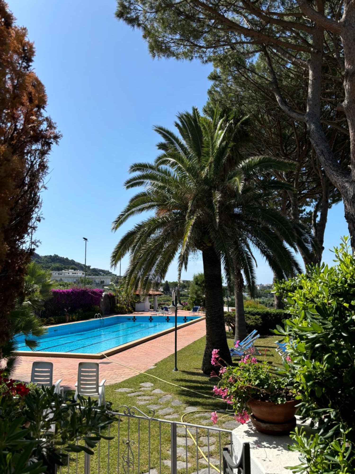 Villa Moma Giardino, Tennis E Piscina Panoramica Ischia Kültér fotó