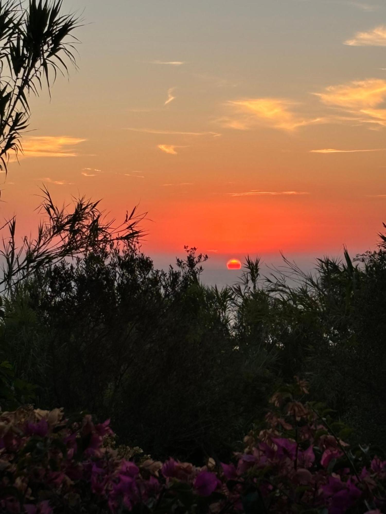 Villa Moma Giardino, Tennis E Piscina Panoramica Ischia Kültér fotó